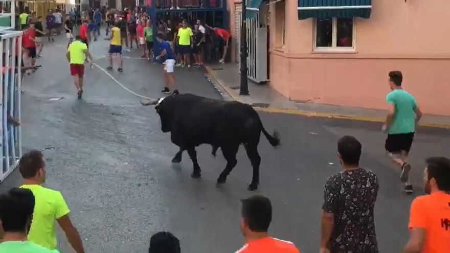Un joven muere durante los 'bous al carrer' de Vallada