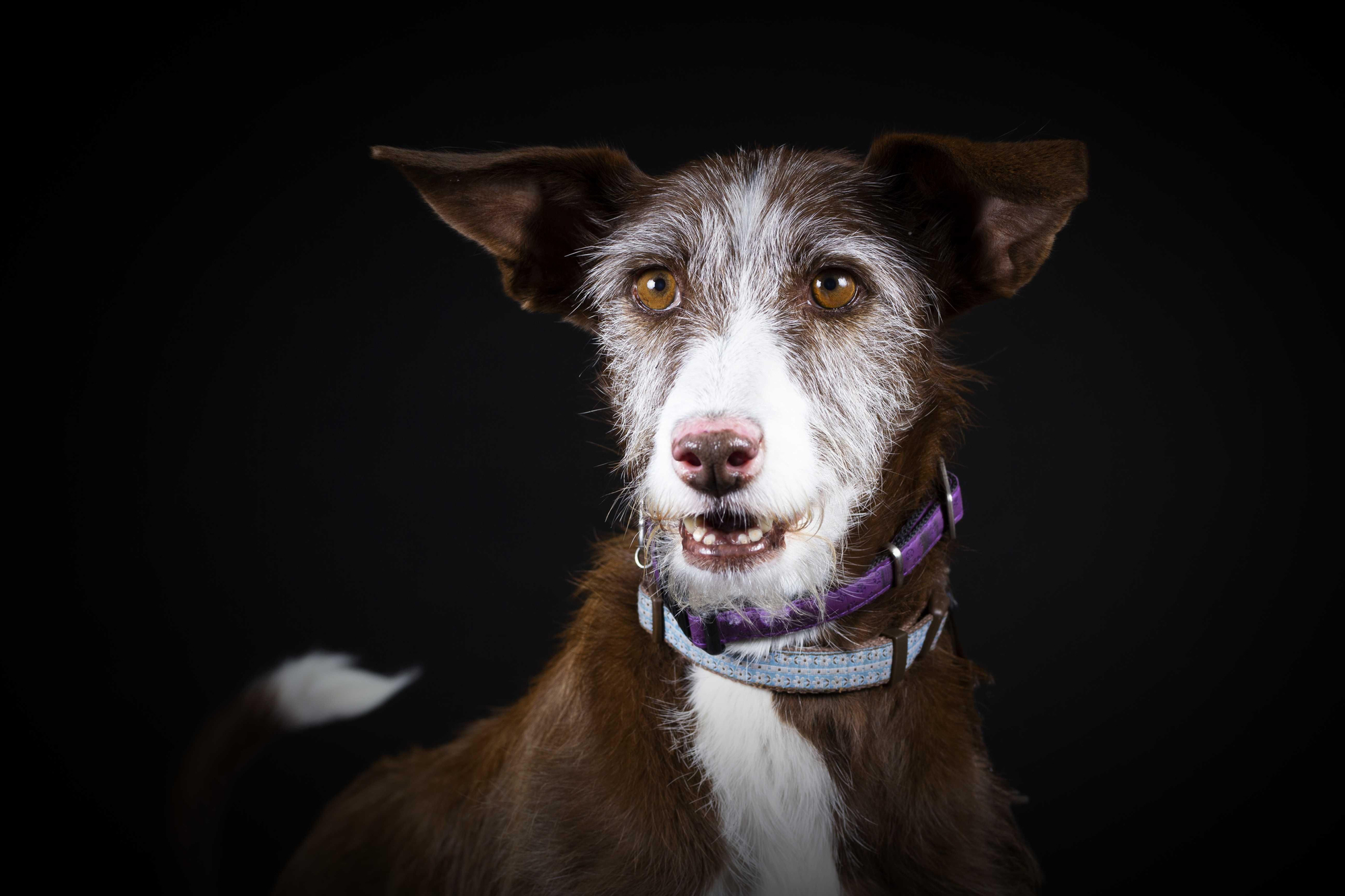 'Una mirada, una vida'.