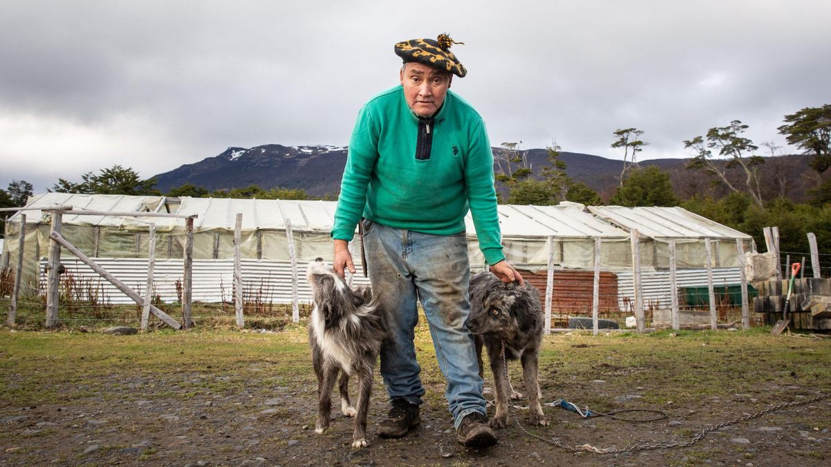 Uno de los retratos de la exposición "Cuenta conmigo", realizada para promover el vínculo entre perros y tutores en la isla Navarino. Foto: cortesía © Gonzalo Arriegada