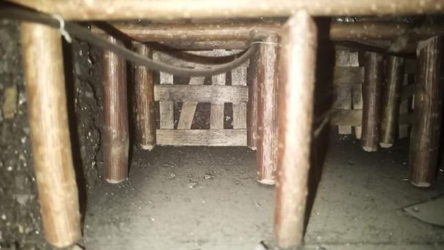 Foto: Félix Suárez