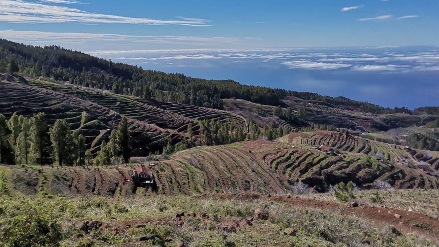 La Mesa de la Mujer Rural solicita la protección de los viñedos del Norte “frente a la proliferación de establecimientos turísticos en suelo rústico”