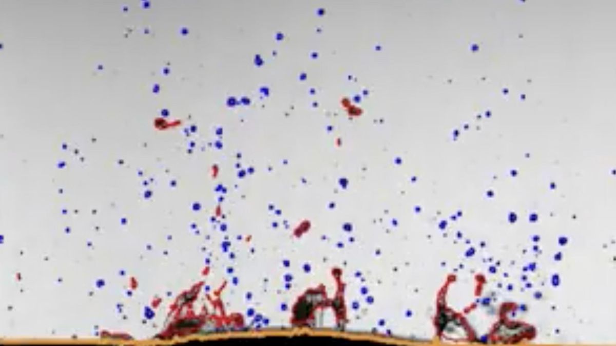 Cuanto peor es el cuchillo y más rápido se corta; más se dispersan las gotitas