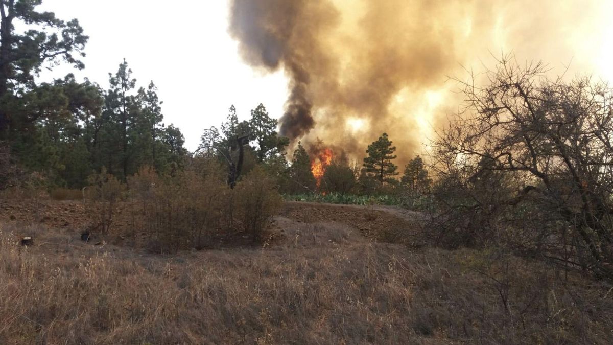 Incendio declarado en el barrio de El Jesús.
