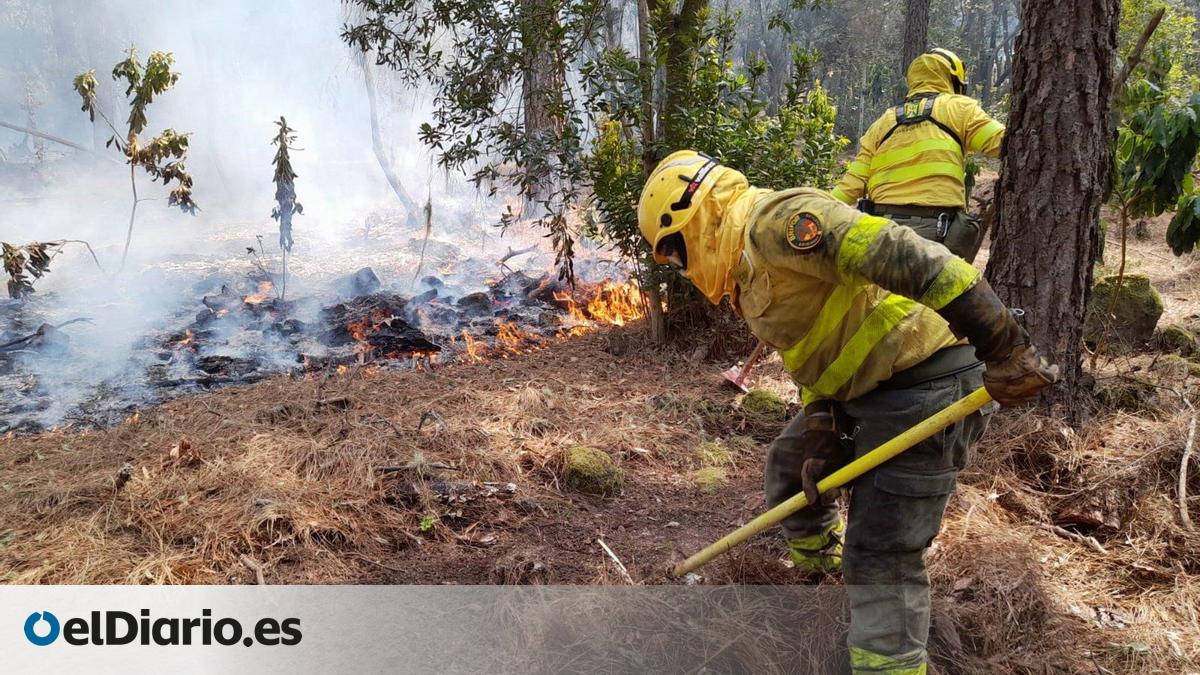 Canarias activa este lunes la campaña contra incendios forestales de 2026: Más de 2.600 efectivos y 19 medios aéreos