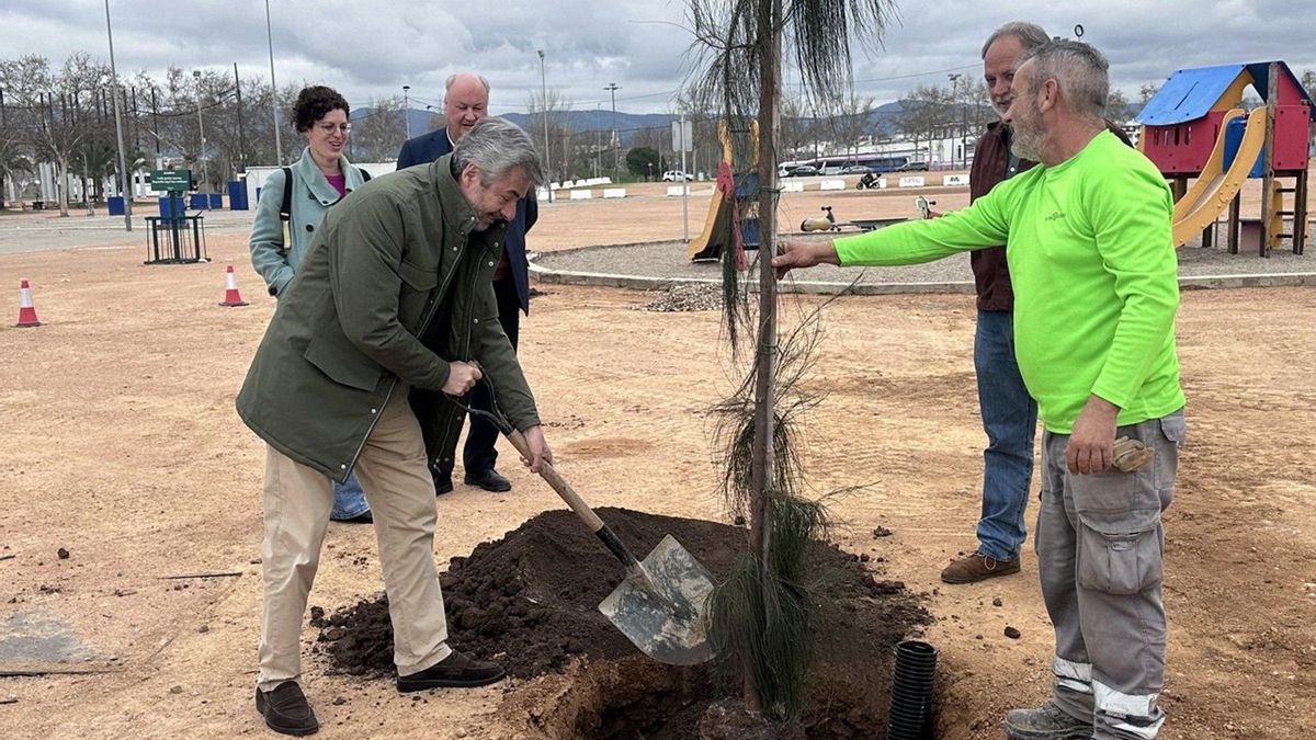 Comienza la plantación de 158 árboles en El Arenal para ganar espacios de sombra