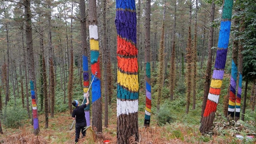 La magia del bosque pintado de Oma gana la batalla al tiempo y vuelve a la vida