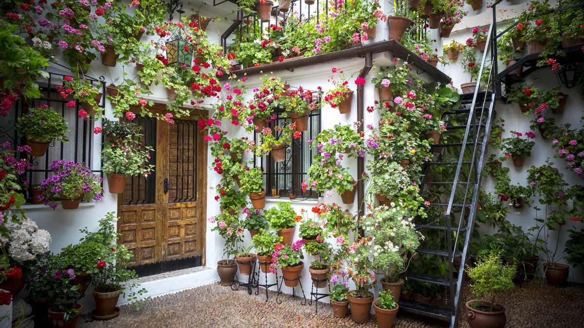 No hay nada que alegre más un patio o un jardín que el color de las distintas floraciones a lo largo del año