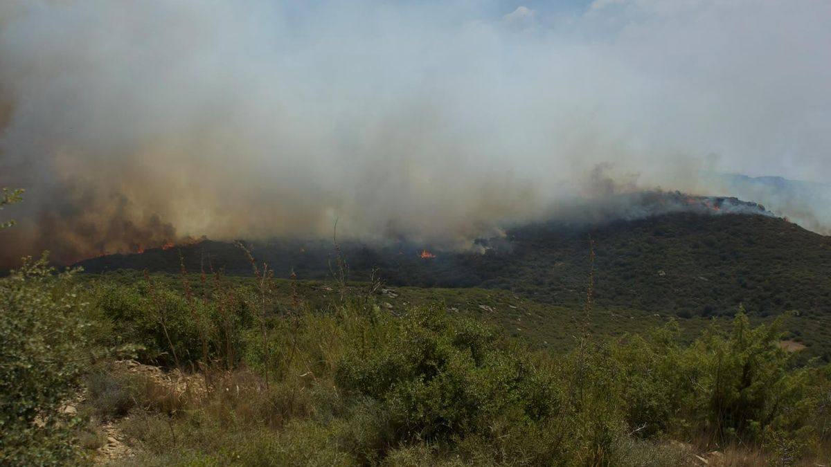 Incendio en las Cinco Villas