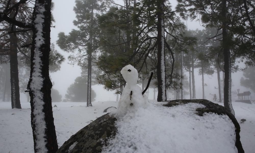 Cumbre grancanaria (31/01/2018)