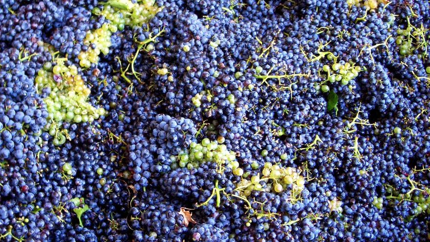 Los productores de la Interprofesional de la Denominación Valdepeñas dimiten por la "guerra" entre comercializadoras