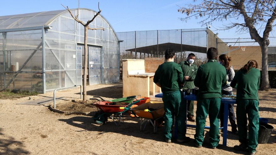 Condena a un empresario agrícola por echar a dos temporeros como "represalia" tras una inspección de trabajo