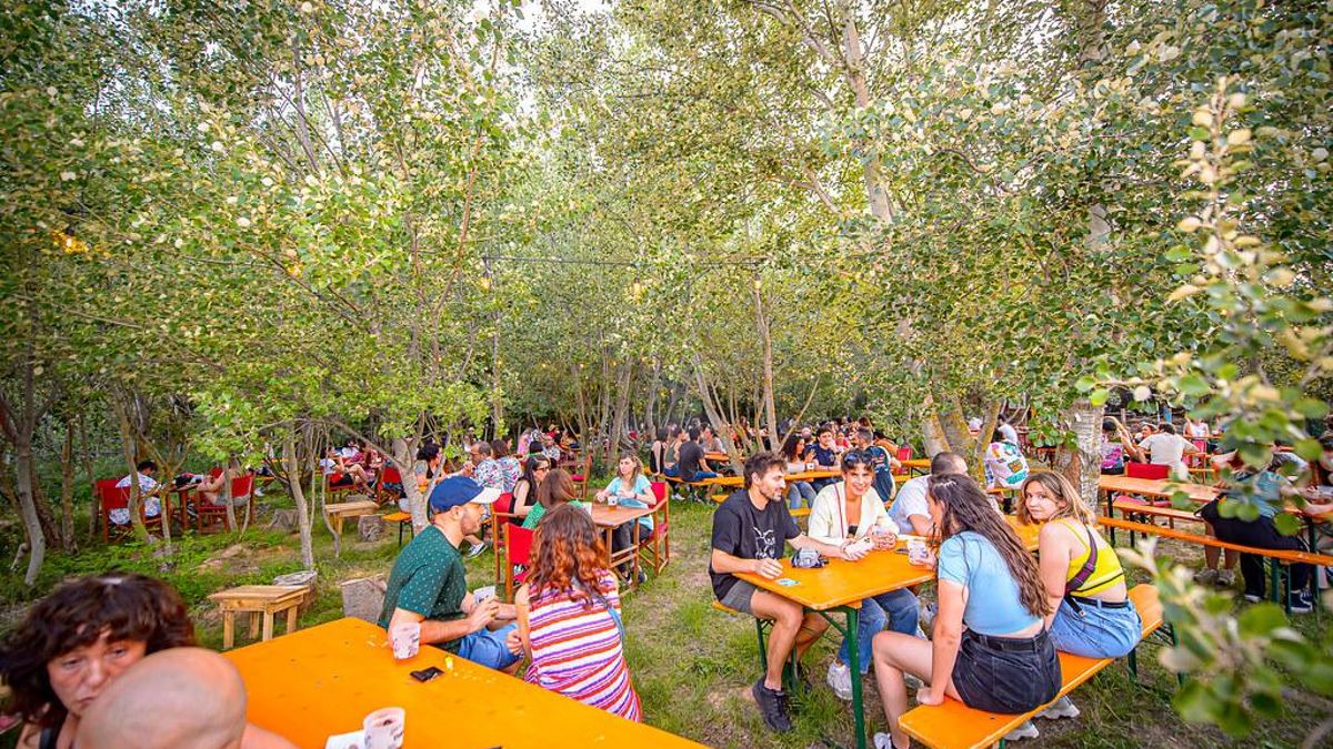Zona de picnic del festival Bosque Sonoro