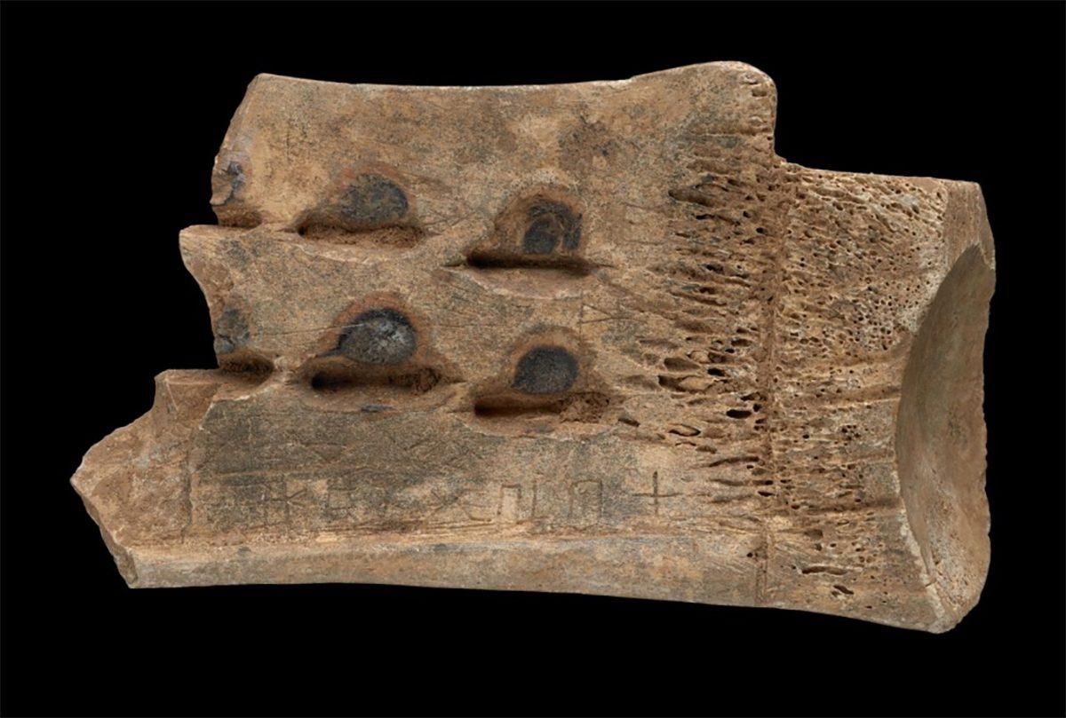 Un antiguo "hueso oráculo" chino con una inscripción que, según se cree, registra un eclipse lunar ocurrido en el año 1192 A.C..