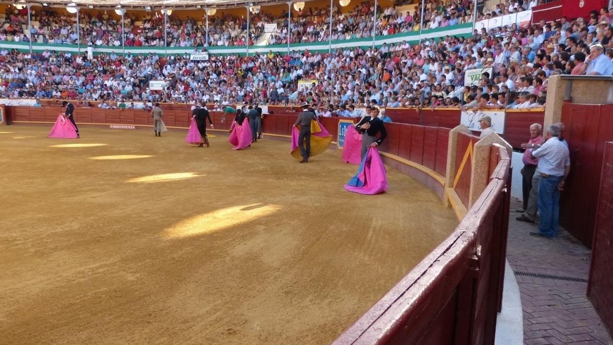 Diputación resalta la "numerosa" afluencia de público al primer festejo del plan de Fomento de la Cultura Taurina