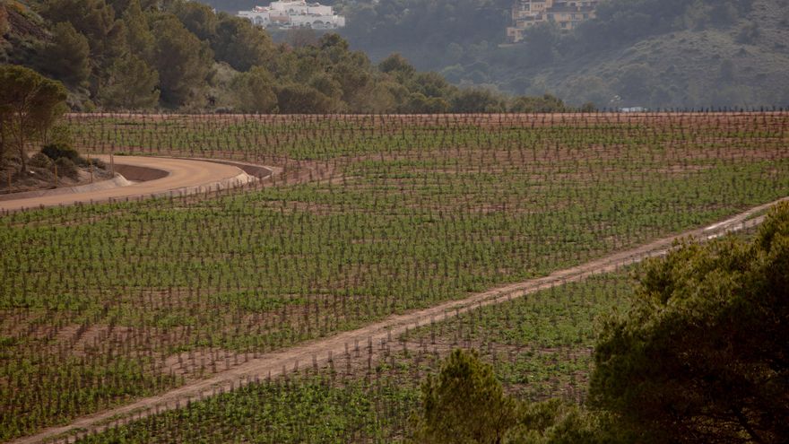 El sellado con tierra contaminada de ‘El Lirio’ llegará el viernes a la sesión de control al Gobierno regional
