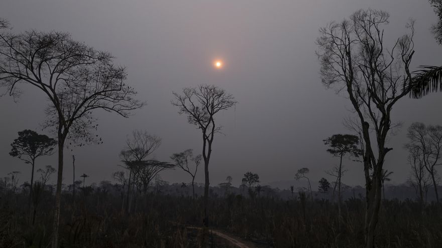 Los incendios en la Amazonía brasileña caen un 61 % en el primer semestre de 2025