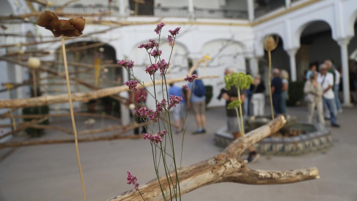 Flora 2025 - 'Arbor' (Museo Arqueológico)