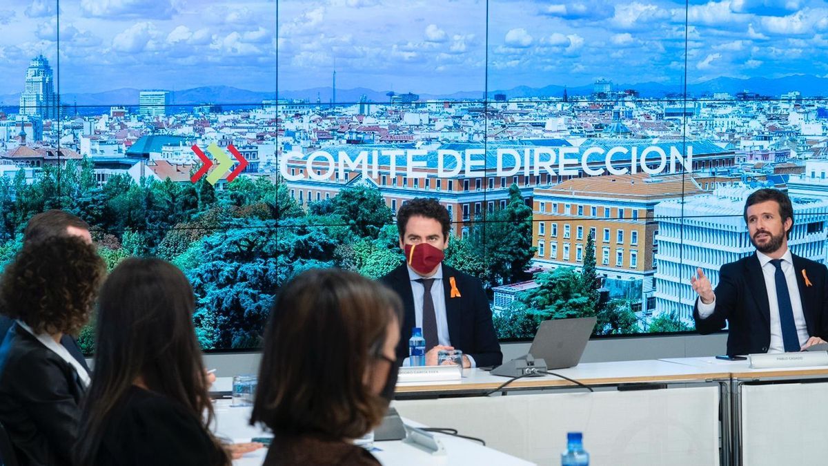 El líder del PP, Pablo Casado, preside la reunión del comité de dirección de su partido. En Madrid, 17 de noviembre de 2020.