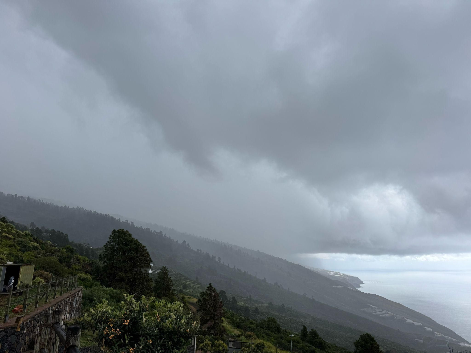 Imagen de la lluvia de este domingo en el municipio de Tijarafe.