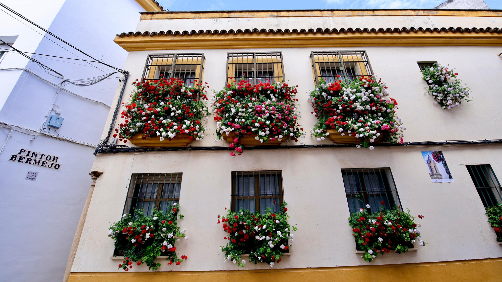 Primer premio de Rejas y Balcones en Fernán Pérez de Oliva, 7