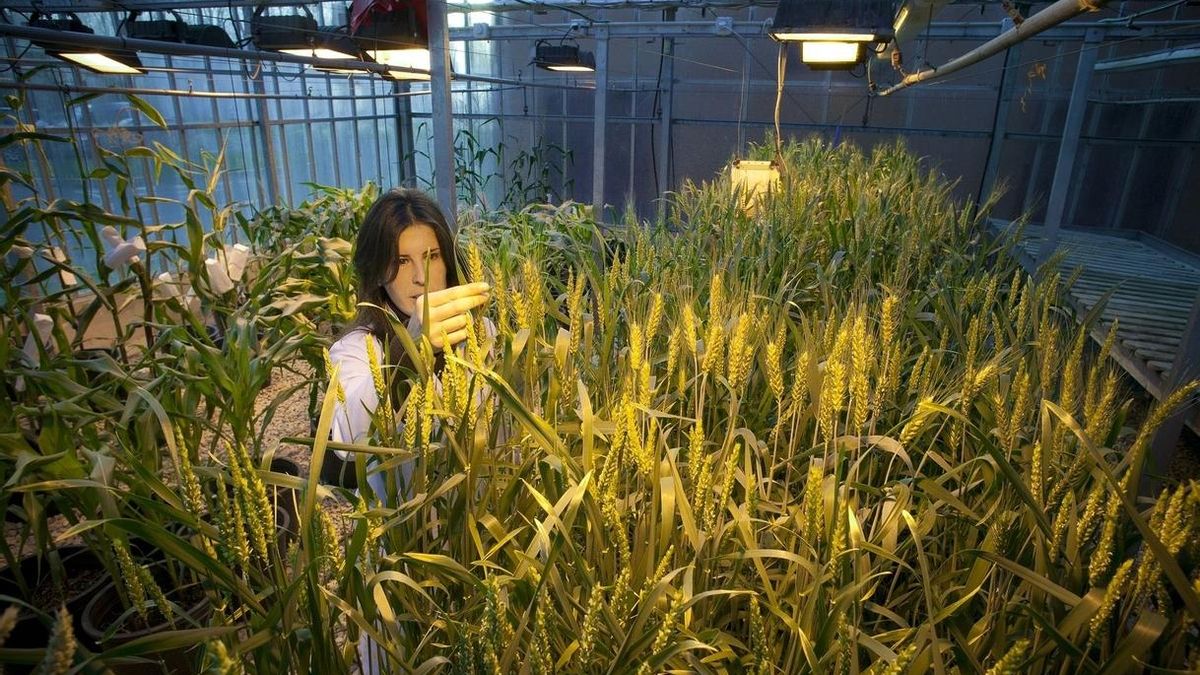 La UPNA oferta en el curso 2015-16 un Título Propio de Experto en Agroecología