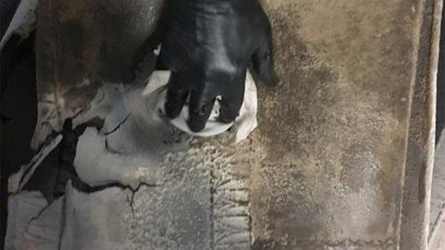 Trabajos de rehabilitación de los sarcófagos de plomo