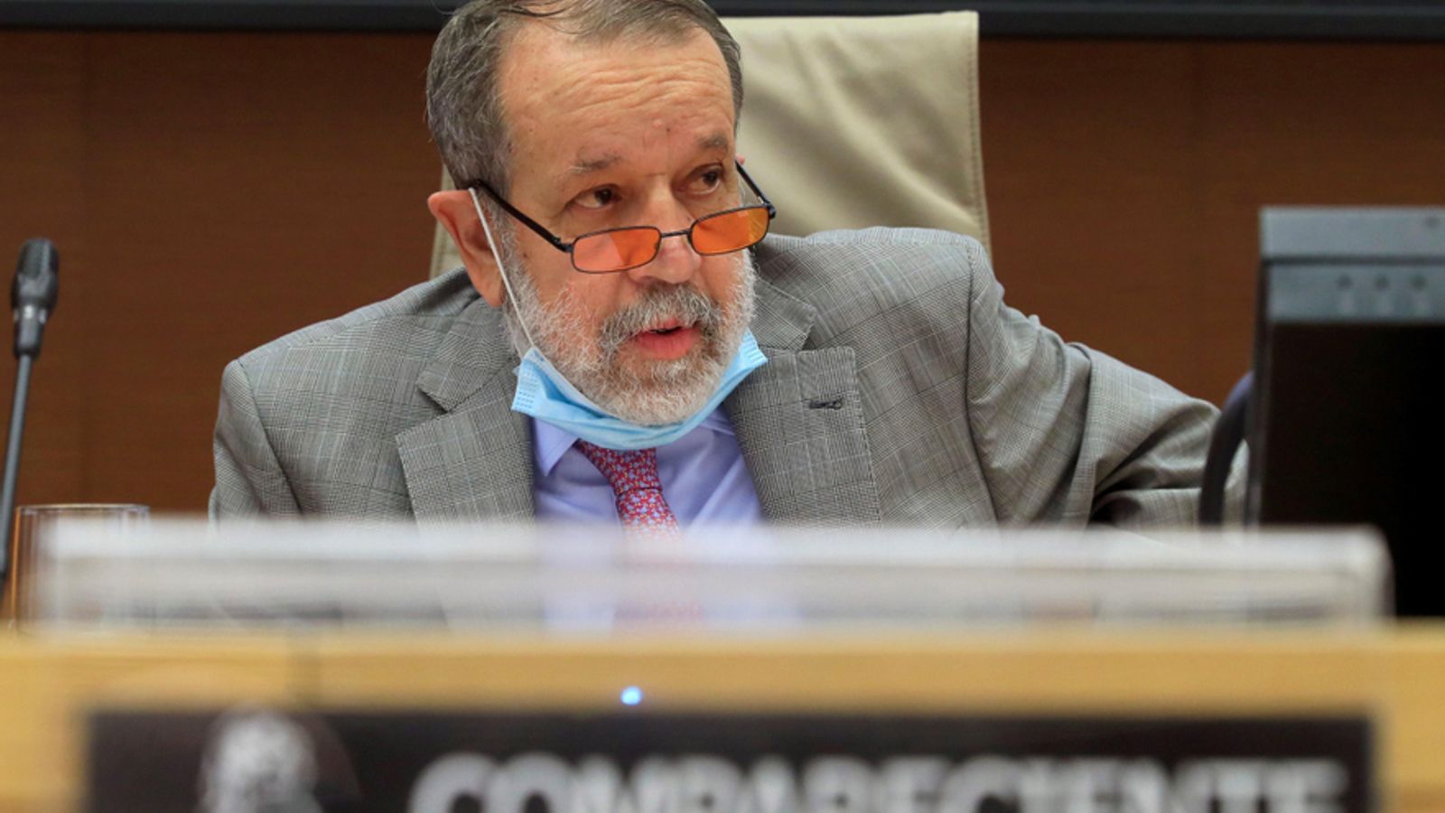 Defensor del Pueblo en funciones