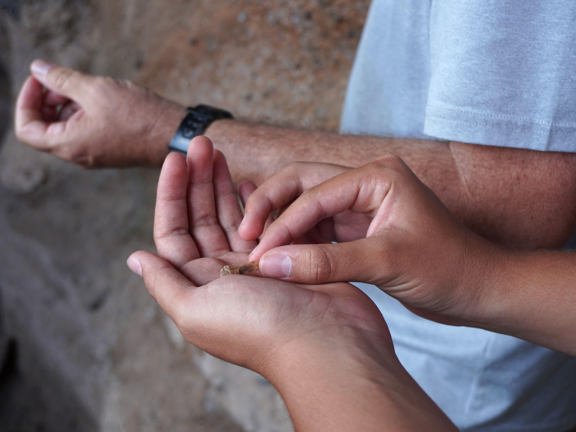 Vestigios de cerámica, industria lítica, cenizas, entre otros elementos que han sido hallados en la tercera campaña de excavaciones arqueológicas en la cueva del Lomito del Medio, en San Sebastián de La Gomera. 