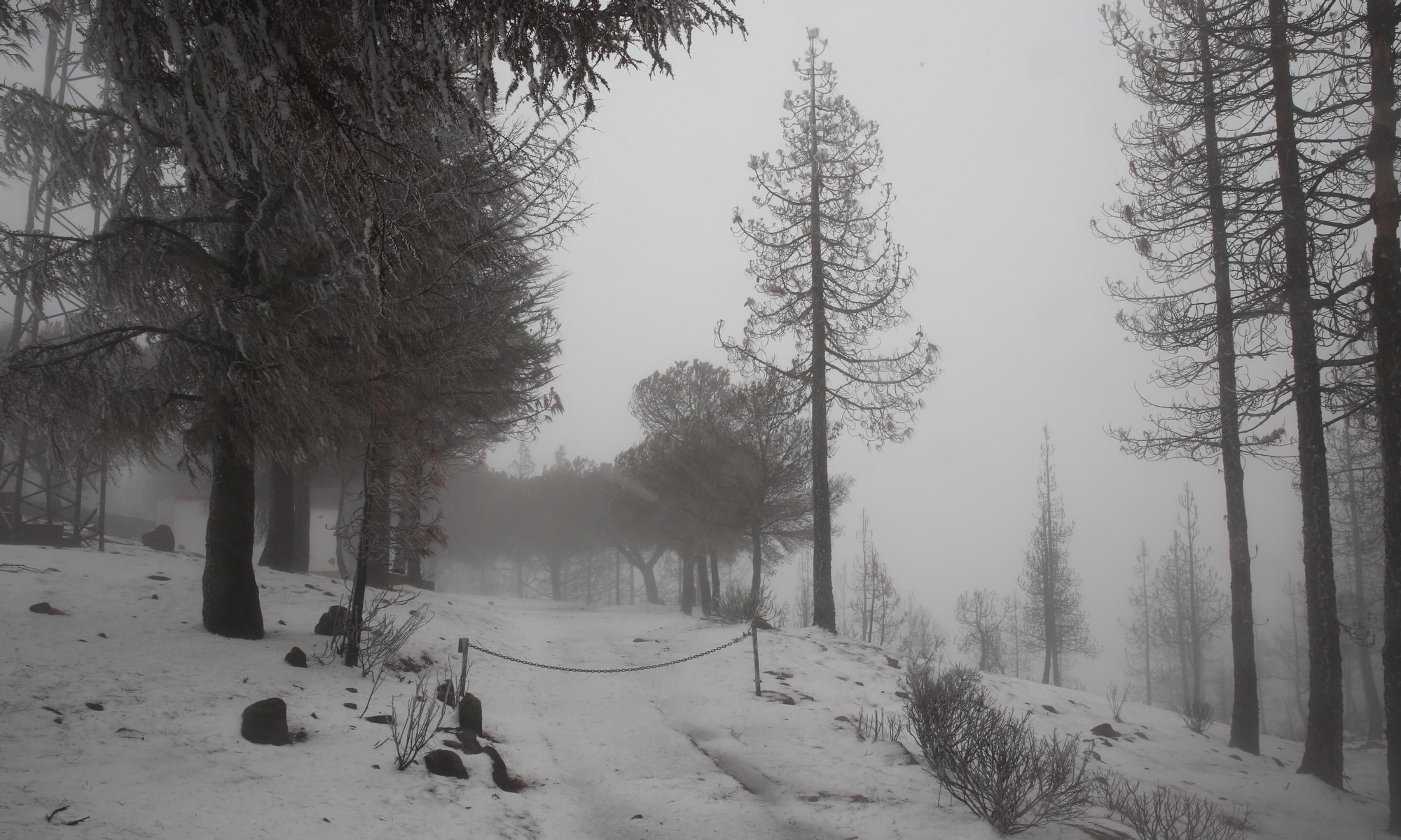 Alrededores del Pico de Las Nieves cubiertos de nieve