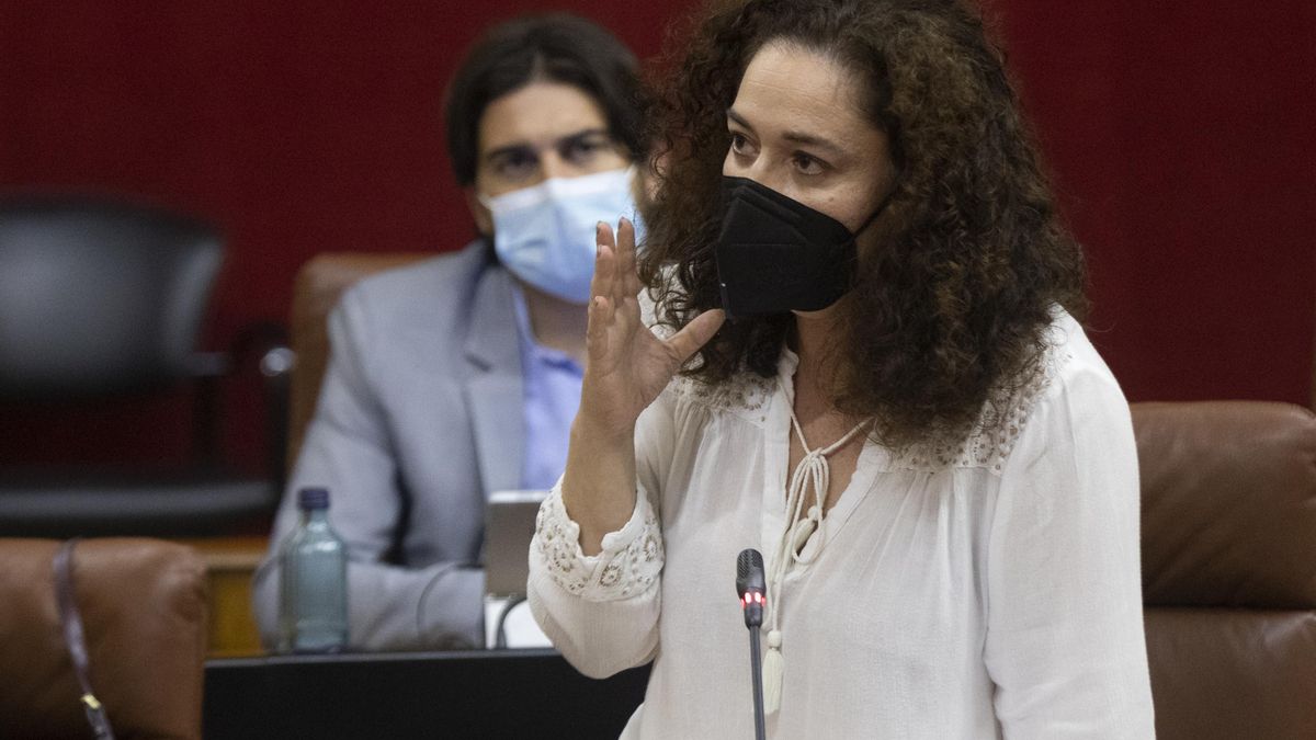 La portavoz del grupo parlamentario Unidas Podemos, Inmaculada Nieto, durante su intervención en el Parlamento.