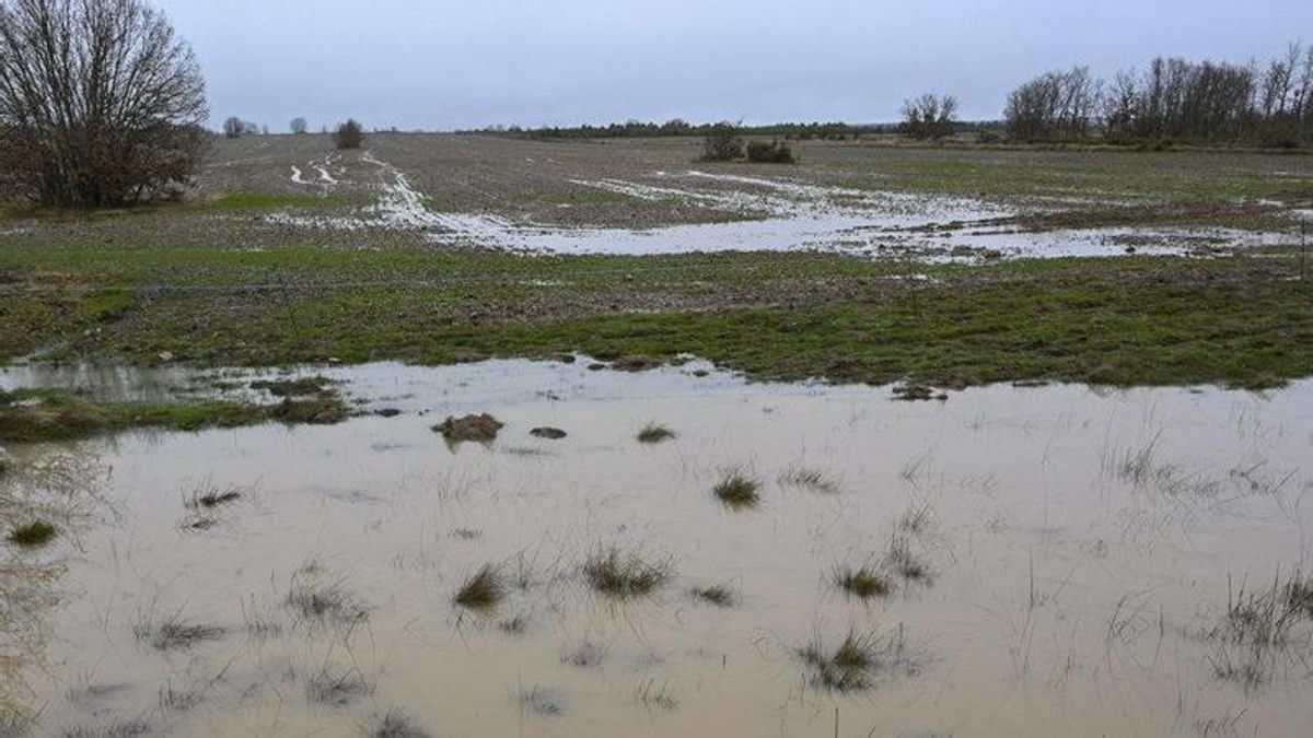 Bajan los avisos por riesgos en desbordamiento debidos a la crecida de los ríos en la provincia de León