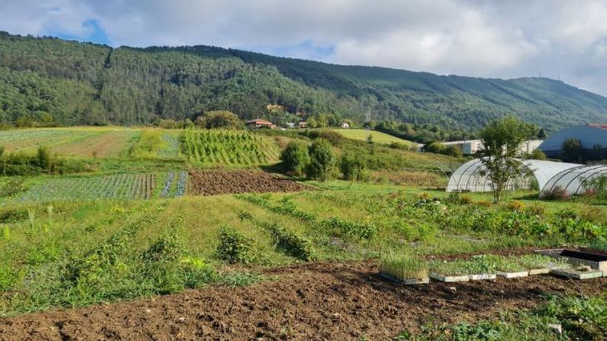 Terrenos del Fondo de Suelo Agrario de Gipuzkoa