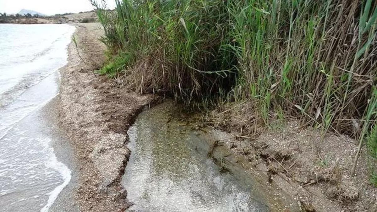 Vertido de salmuera al Mar Menor a 50 metros de la Rambla del Albujón / P. García ANSE