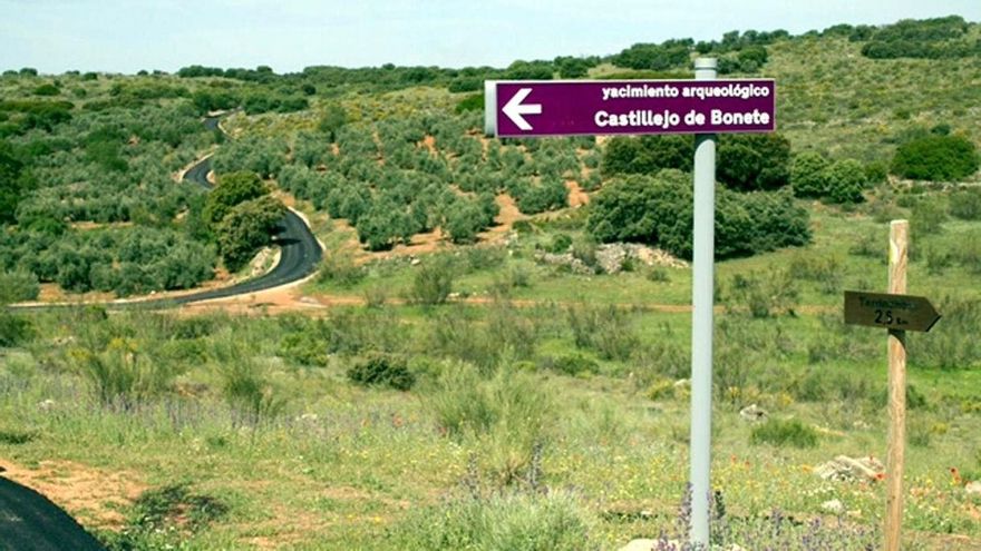 Acceso al yacimiento de Castillejo del Bonete de Terrinches (Ciudad Real)