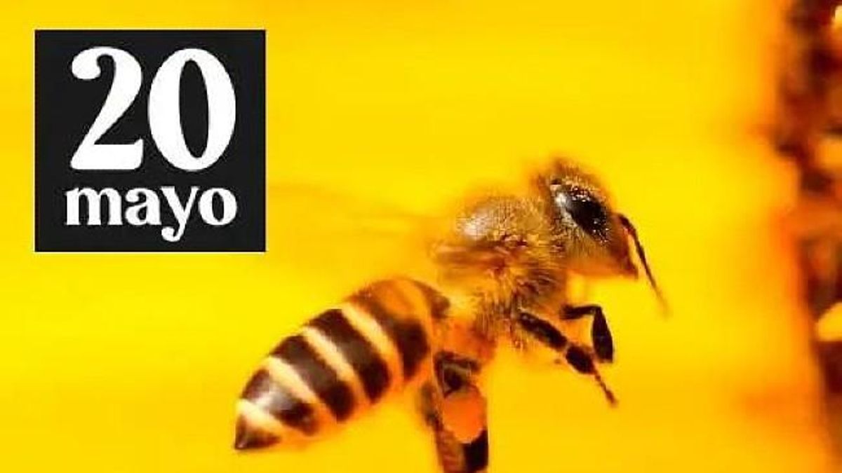 El 20 de mayo es el día Mundial de las Abejas.