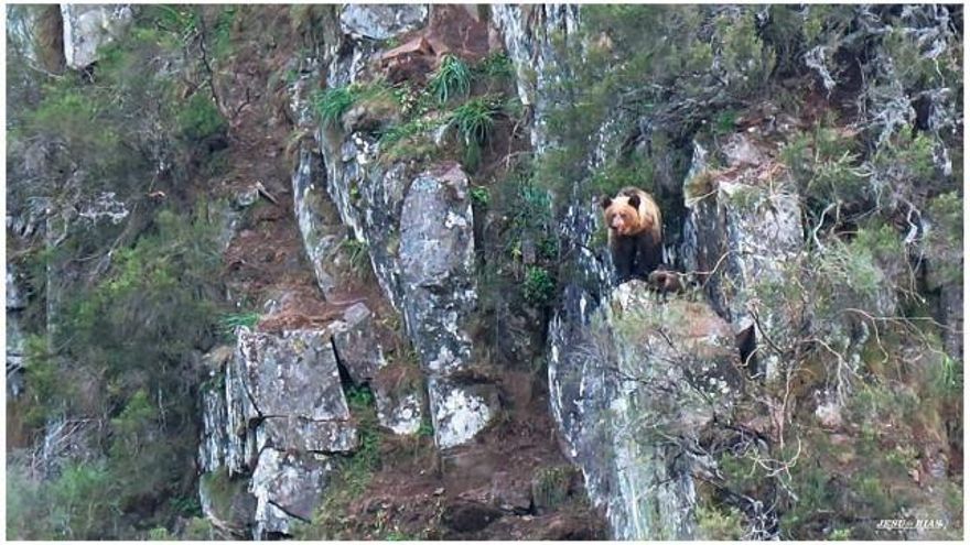 Imagen de Jesús Arias.