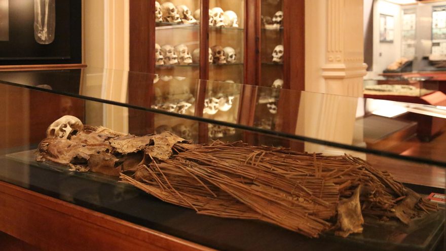 Momia de una mujer aborigen en el Museo Canario.