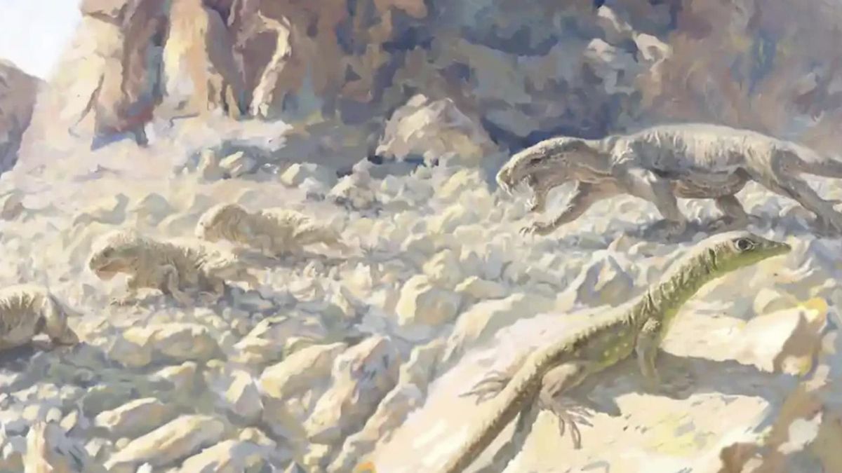 Aparece el Jirahgorgon en Sudáfrica y obliga a rehacer cómo se movían y cazaban los primeros depredadores terrestres