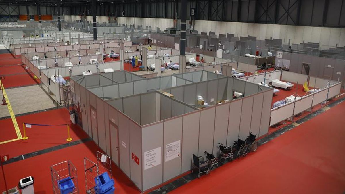 ¿De todos los mamíferos estudiados cuál podría esconder la próxima gran pandemia? La respuesta está en un viejo conocido que habita en Europa y Asia