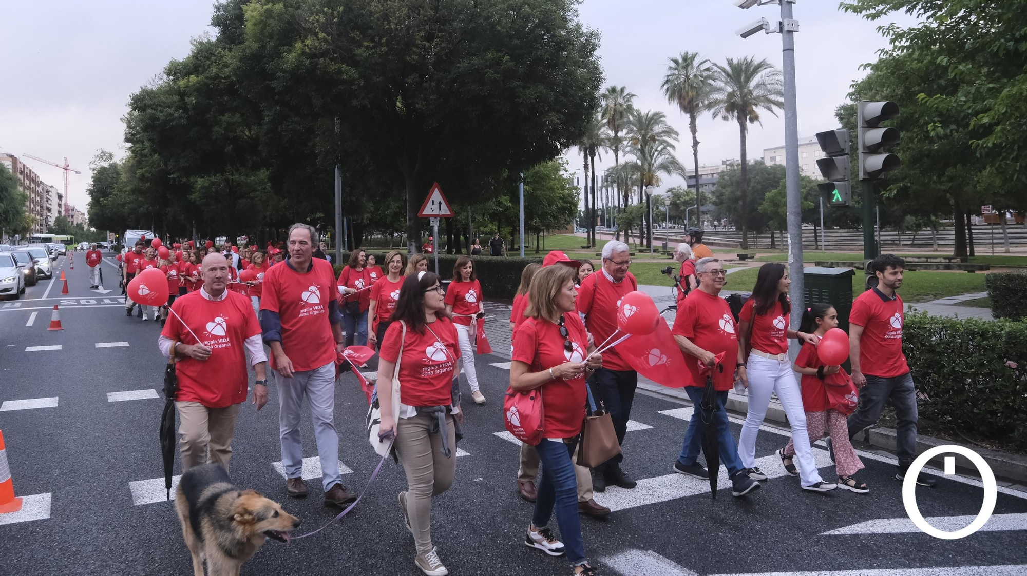 Marcha por la Donación de órganos.