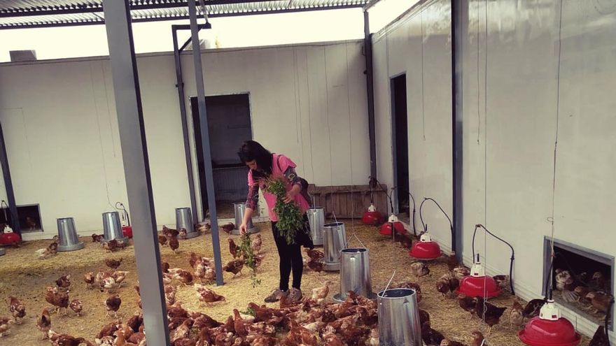 Granja ecológica Villada de aves de puesta