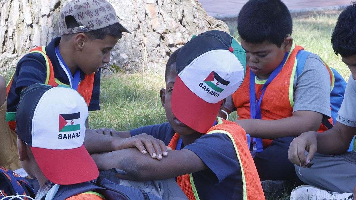 La llegada de los 131 niños saharauis que pasarán el verano en Córdoba, en imágenes