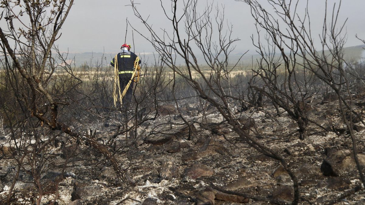 Castilla y León prorroga hasta el 9 de noviembre el peligro medio de incendios forestales