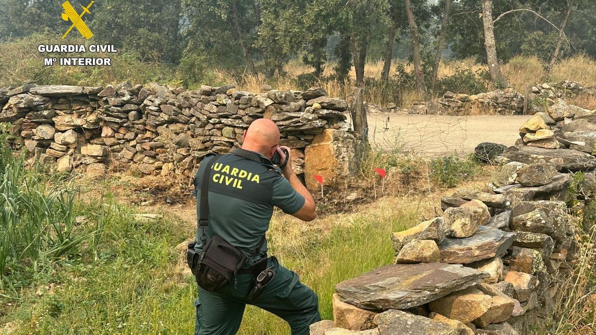 Un agente de la Guardia Civil trabaja en el conato de incendio.