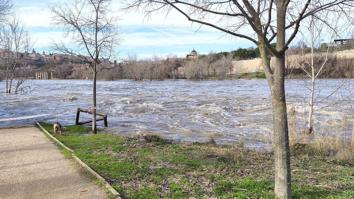 Dinámicas fluviales, meandros y Peraleda
