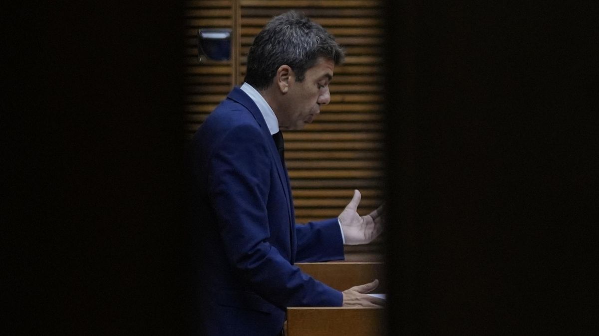 Captura de pantalla 2024 11 15 a las 15.24.22