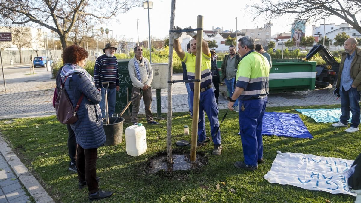 Plantación de un nuevo ginkgo en Miraflores y concentración al cumplirse 15 años del accidente nuclear de Fukushima