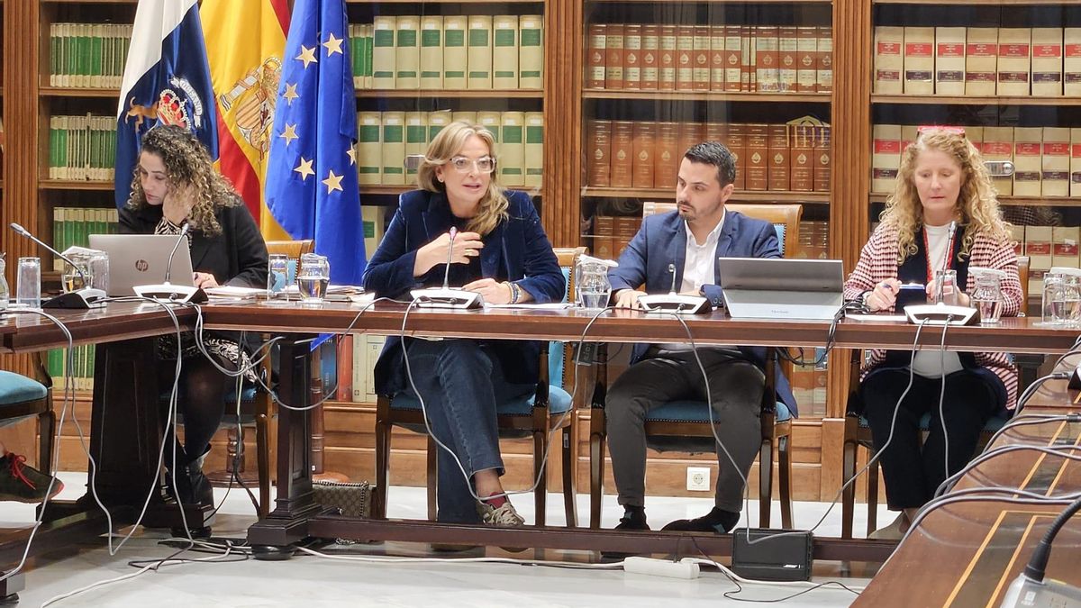 Sanidad amplía dos años la oferta de servicios de atención domiciliaria por cáncer, salud mental y cuidados paliativos