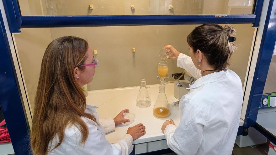 Stefanie Reinold y Alicia Herrera