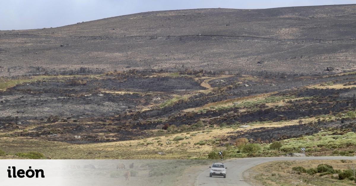 La lluvia llega a la montaña de León y ayuda al control de los incendios más graves: ya no hay pueblos evacuados